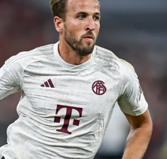 海港在前点 海港在前点