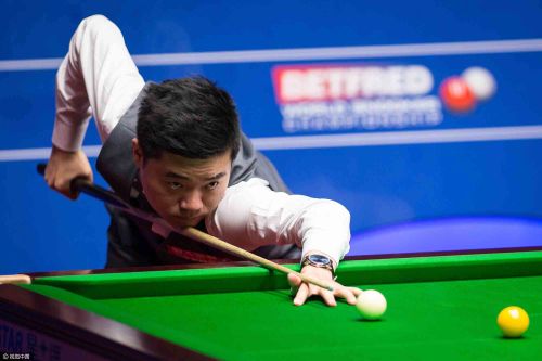 黑猫是黑马 黑猫是黑马